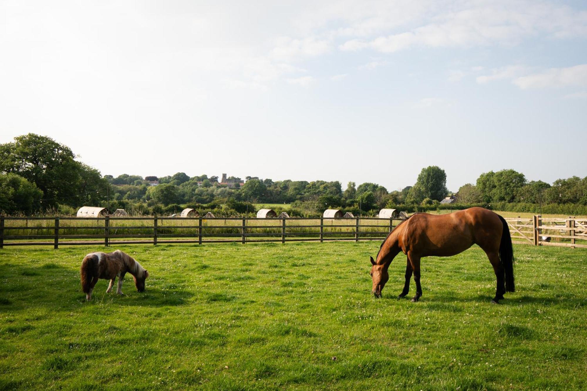 Sedgewell Barn By Wigwam Holidays Northallerton Zewnętrze zdjęcie