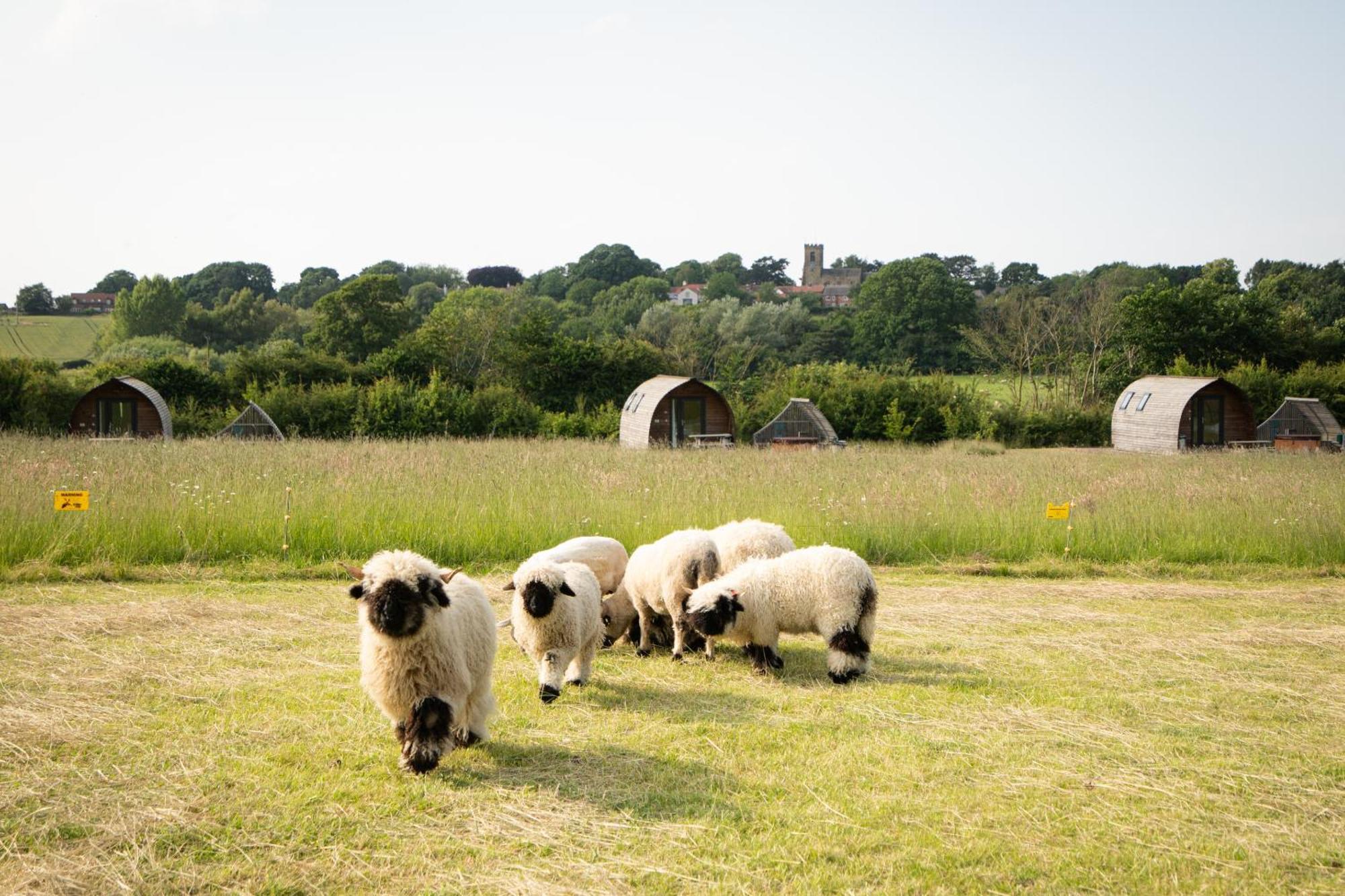 Sedgewell Barn By Wigwam Holidays Northallerton Zewnętrze zdjęcie